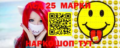 гашик Новокубанск