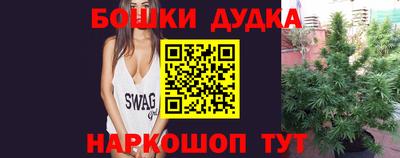 PSILOCYBIN Новозыбков