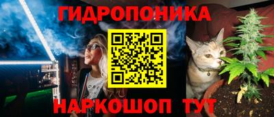гашик Новокубанск