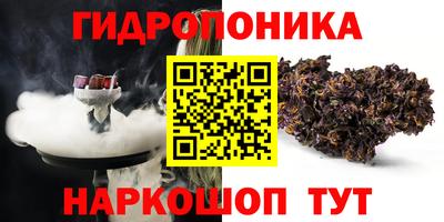 PSILOCYBIN Новозыбков