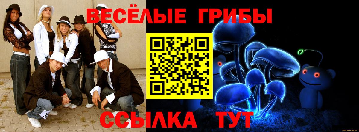 Псилоцибиновые грибы мухоморы Тара