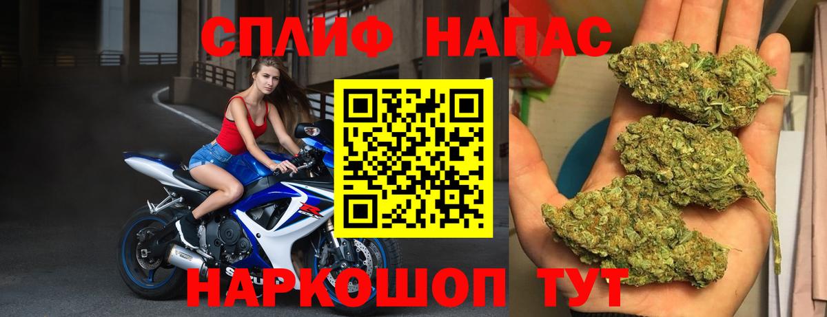 Шишки марихуана MAZAR  Шишки марихуана конопля  Вход с VPN  Тара  Канабис план  Каннабис семена 