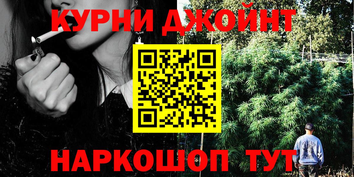 Шишки марихуана план Тара